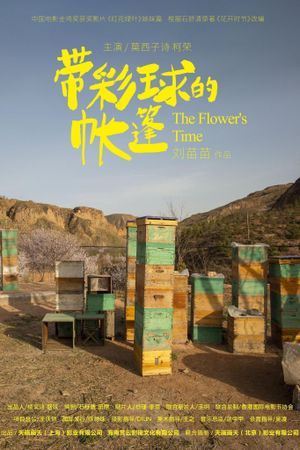 The Flower's Time's poster