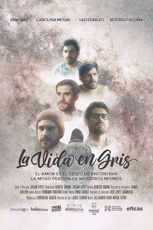 La vida en gris's poster