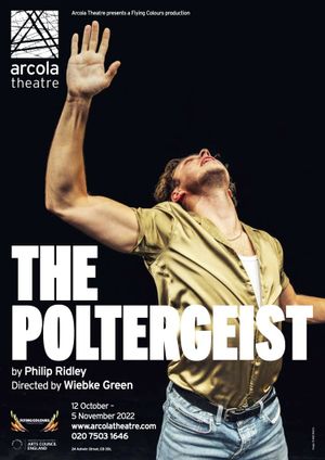 The Poltergeist's poster