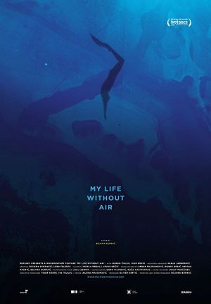 My Life Without Air's poster