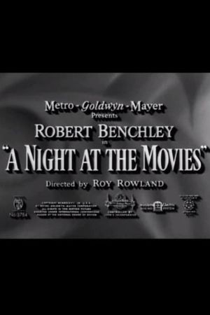 A Night at the Movies's poster