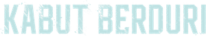 Borderless Fog's poster