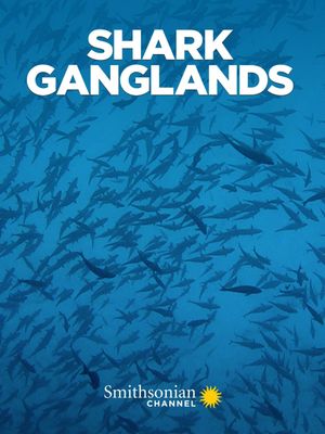 Shark Ganglands's poster