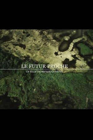 The Near Future's poster