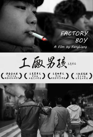 Factory Boy's poster