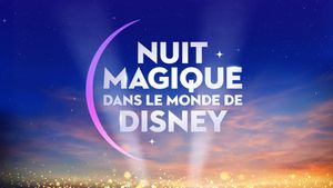 Magical Night in Disney World's poster