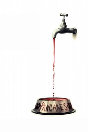 Cabin Fever's poster