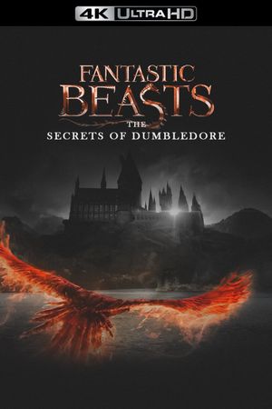 Fantastic Beasts: The Secrets of Dumbledore's poster