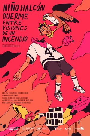 Hawk Boy Sleeps Amidst Visions of a Fire's poster