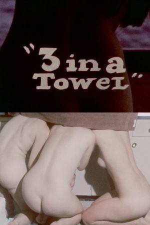 3 in a Towel's poster