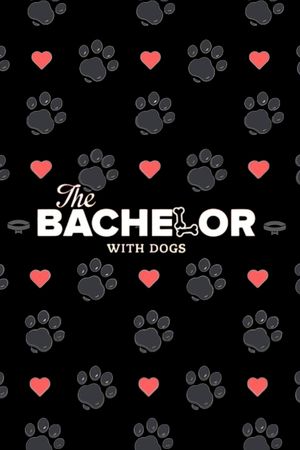 The Bachelor with Dogs and Scott Eastwood's poster