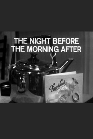 The Night Before The Morning After's poster