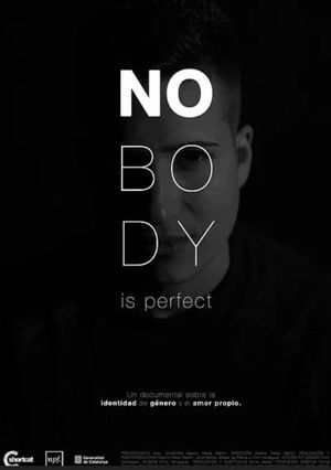 Nobody Is Perfect's poster