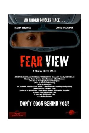 Fear View's poster