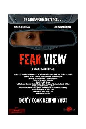 Fear View's poster image