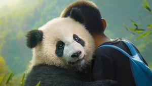 Moon le panda's poster