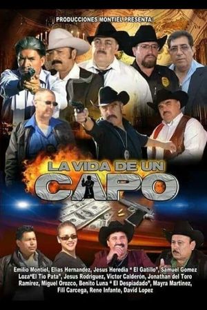 La Vida De Un Capo's poster