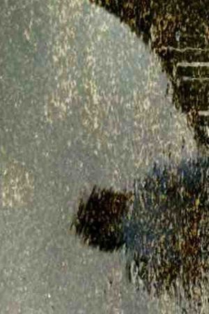 Rest's poster