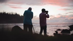 Chasing the Light: Norfolk Island's poster