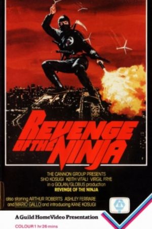 Revenge of the Ninja's poster