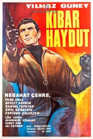 Kibar haydut's poster