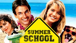 Summer School's poster