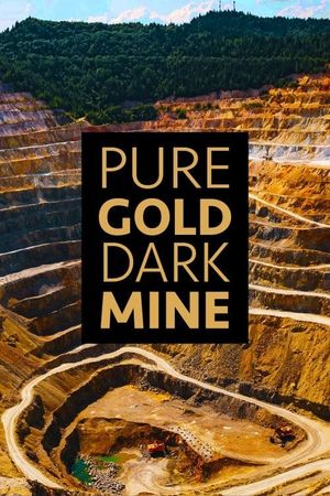 Pure Gold, Dark Mine's poster