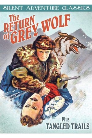The Return of Grey Wolf's poster