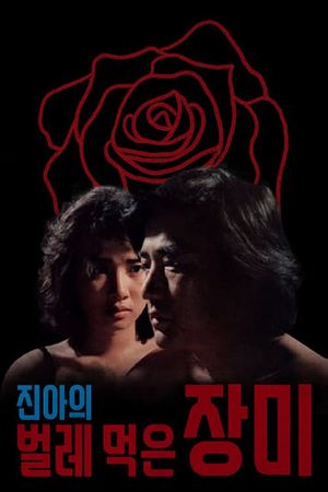 Jin-ah's Rose Eaten By Bugs's poster