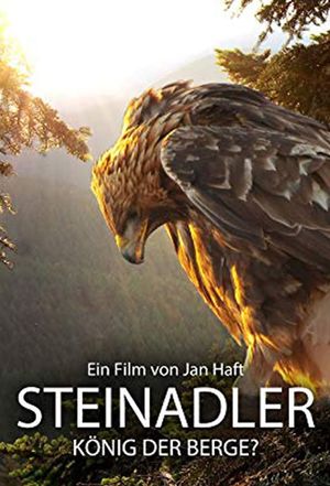 Steinadler - König der Berge's poster