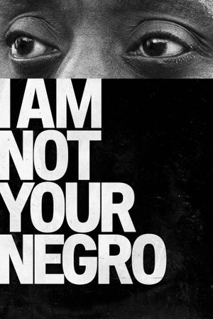 I Am Not Your Negro's poster