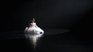 Black Swan's poster