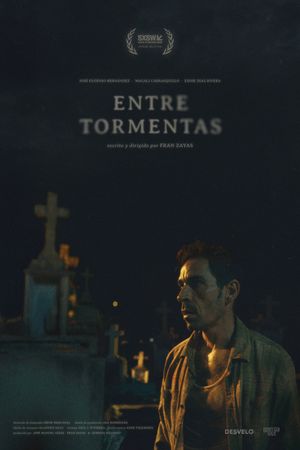 In Between Storms's poster