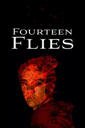 Fourteen Flies's poster