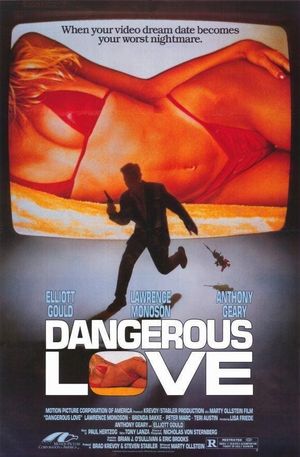 Dangerous Love's poster