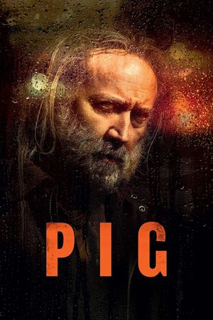 Pig's poster