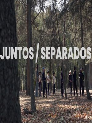 Together / Apart's poster