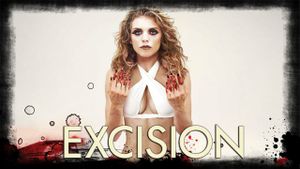 Excision's poster