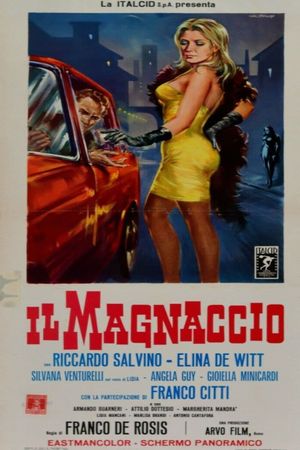 Il magnaccio's poster image