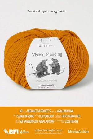 Visible Mending's poster image