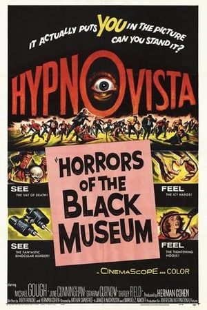 Horrors of the Black Museum's poster image