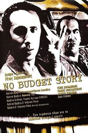 No Budget Story's poster image