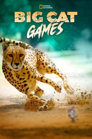 Big Cat Games's poster