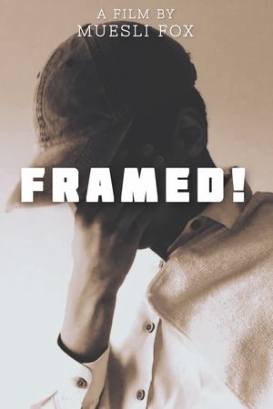 Framed!'s poster image