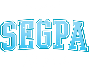 Les Segpa au ski's poster