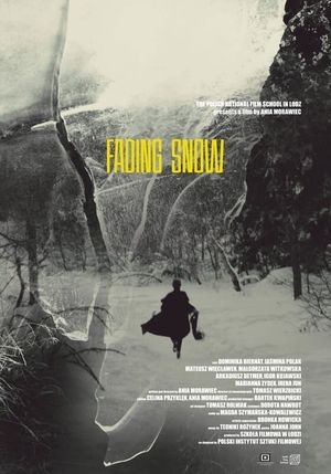 Fading Snow's poster