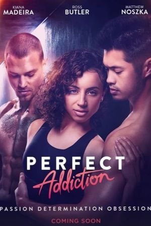 Perfect Addiction's poster