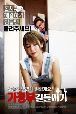 A Housekeeper to Tame's poster image