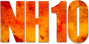 NH 10's poster