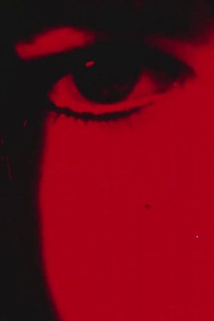 Palace of Pleasure's poster